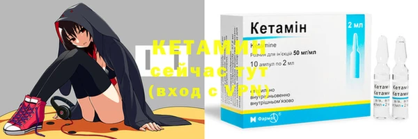 крисы Верея