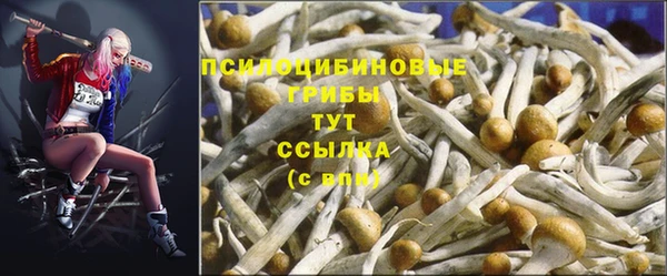 крисы Верея