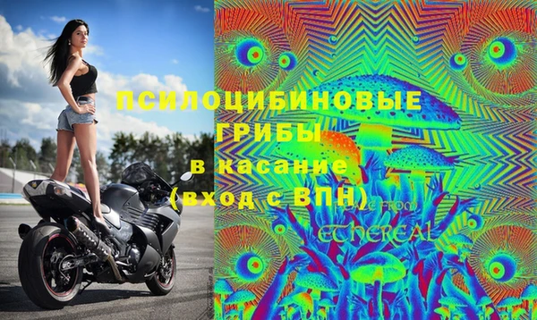 крисы Верея