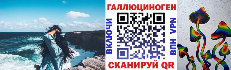 как найти закладки  Калининград  Псилоцибиновые грибы мицелий 
